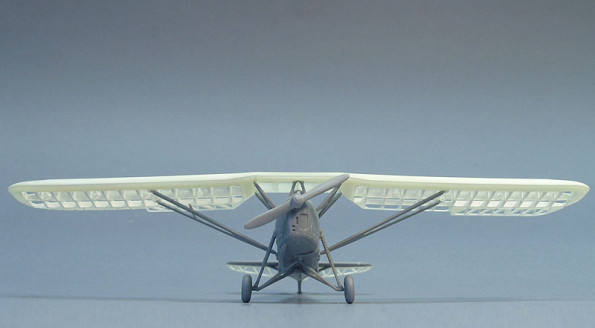 RWD-8 1/72 z drukowanymi skrzydłami